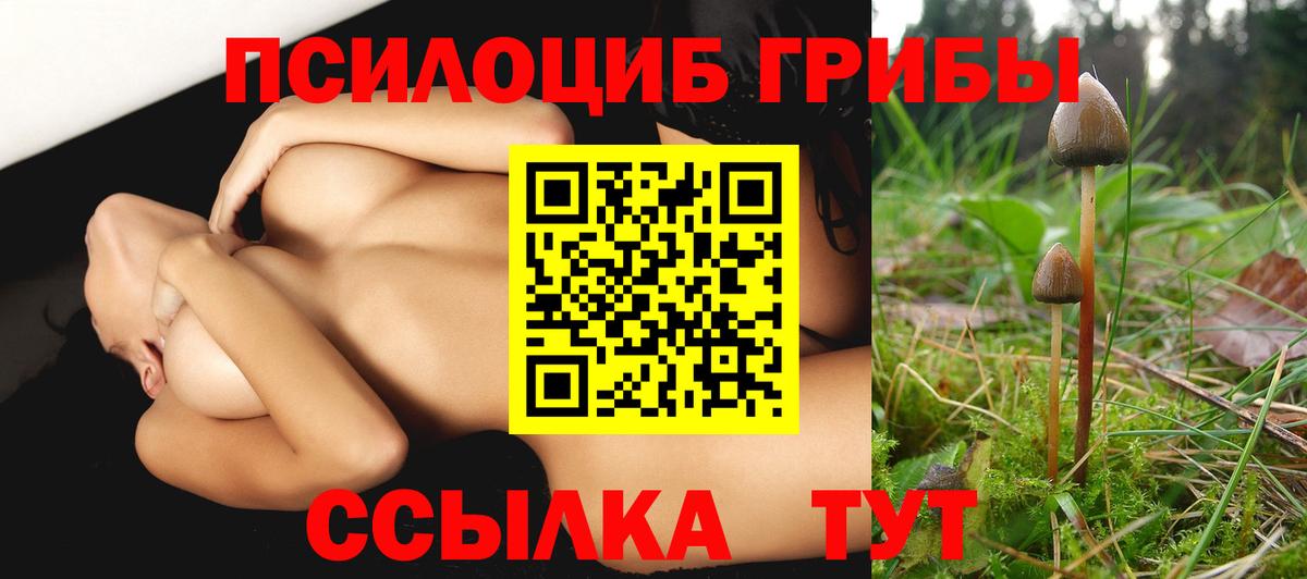 Псилоцибиновые грибы Cubensis Новый Уренгой
